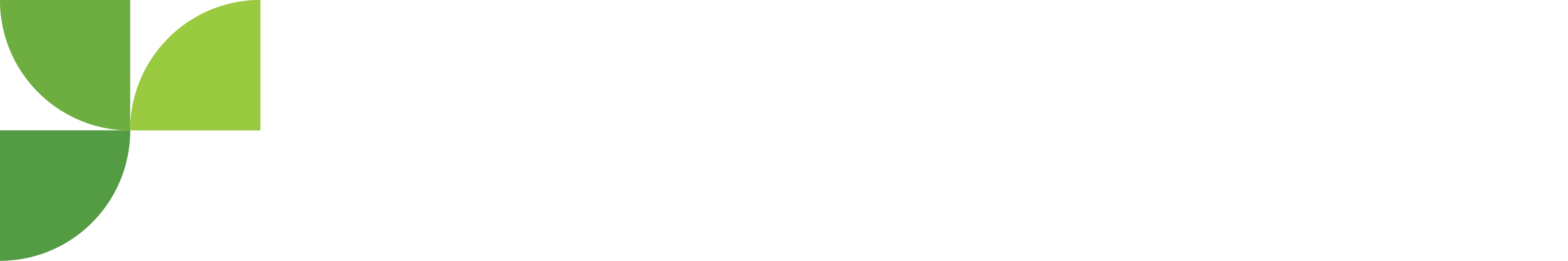 Responsive Logo